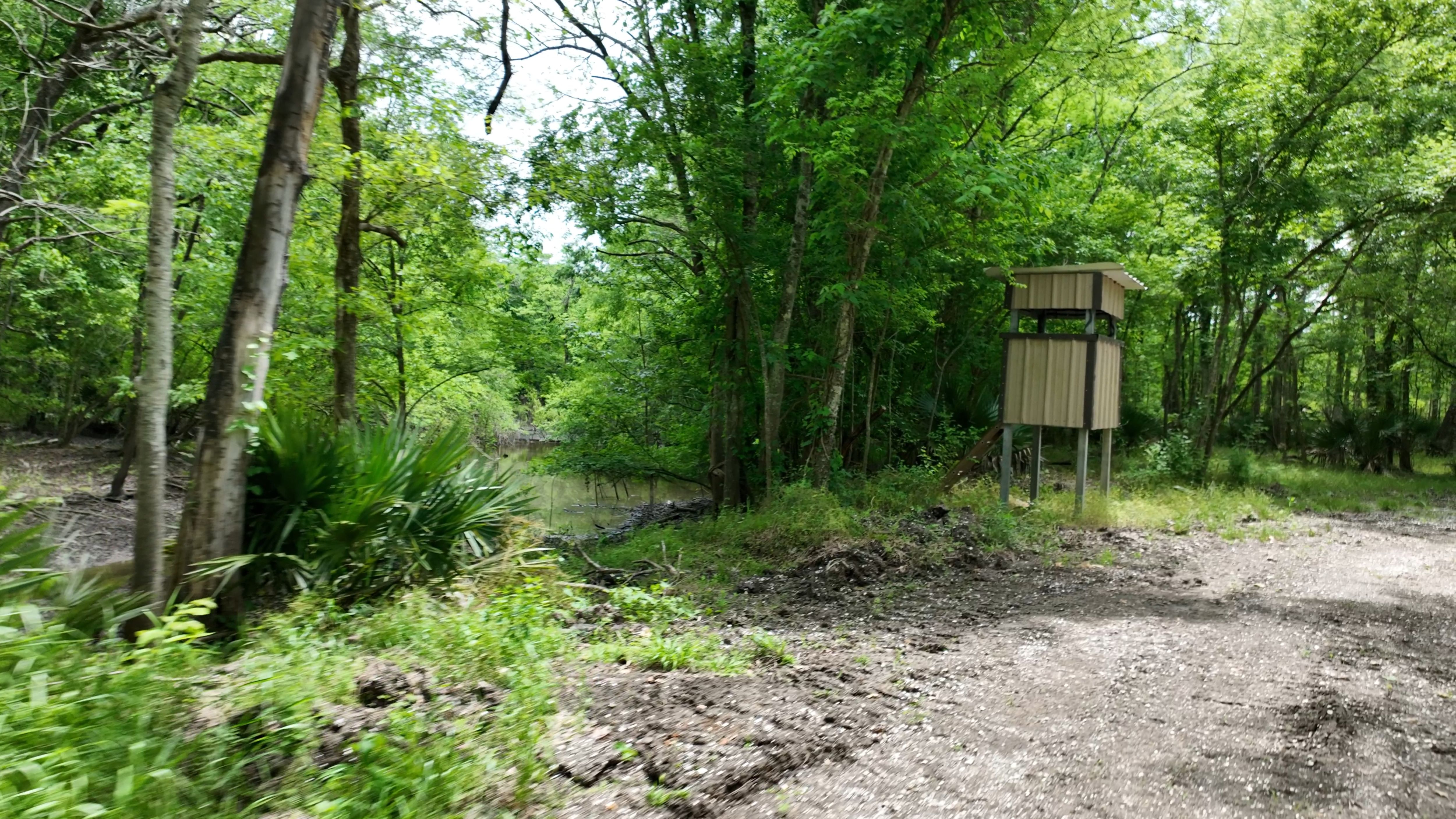 Listing Photo: Louisiana Deer stand